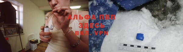 СК Покачи