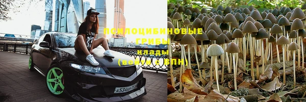 ПСИЛОЦИБИНОВЫЕ ГРИБЫ Покров