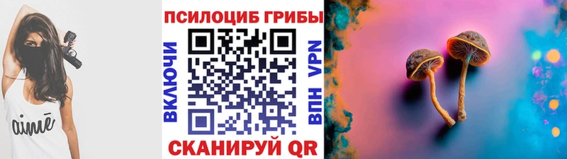 кракен рабочий сайт  Азов  Псилоцибиновые грибы Psilocybe 