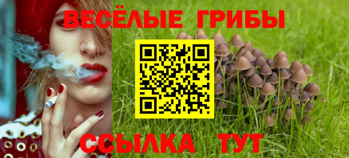 Псилоцибиновые грибы Cubensis  Вход с VPN  Азов  Галлюциногенные грибы Psilocybine cubensis 